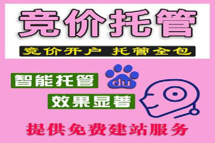 成功SEM推广竞价案例分享